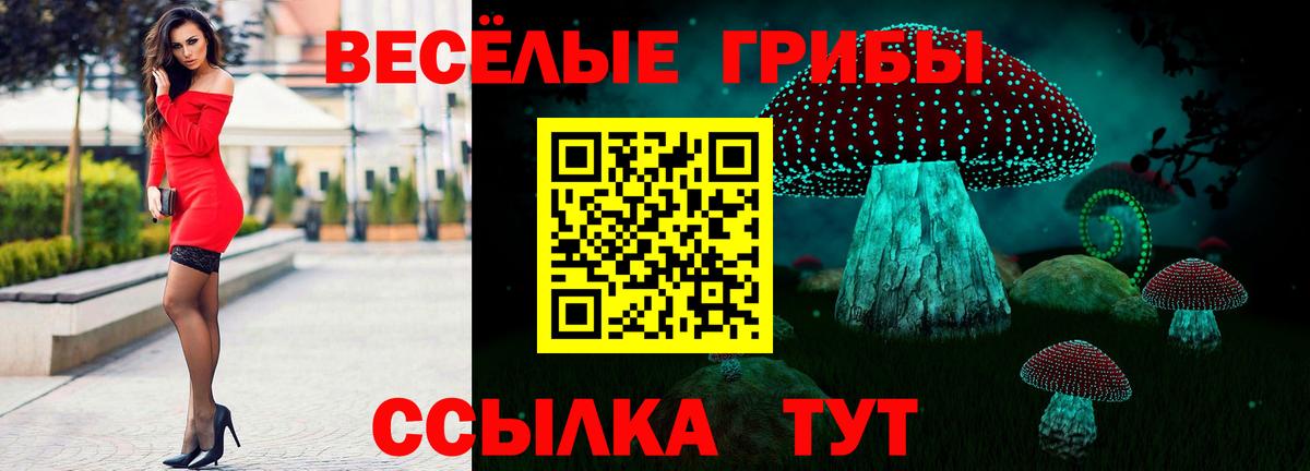 Псилоцибиновые грибы Psilocybe Нальчик